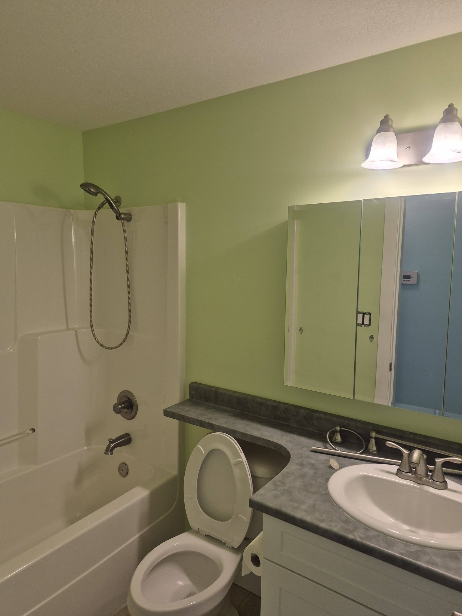 Bathroom Before Paint